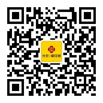 QR code ysh